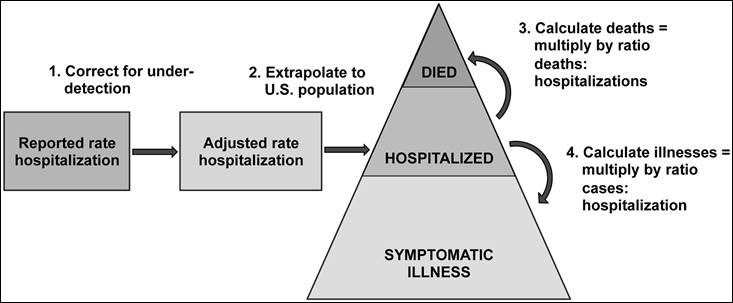 Influenza-Burden-Estimates Graphic of Influenza burden estimates