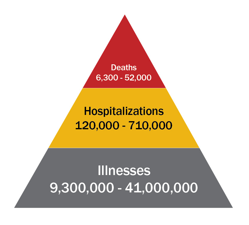 Graphic of flu burden cases Graphic of flu burden cases
