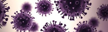 Burden of influenza Purple viruses floating against a cream background