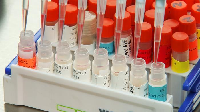 Lines of vials being filled by pipettes. Lines of vials being filled by pipettes.