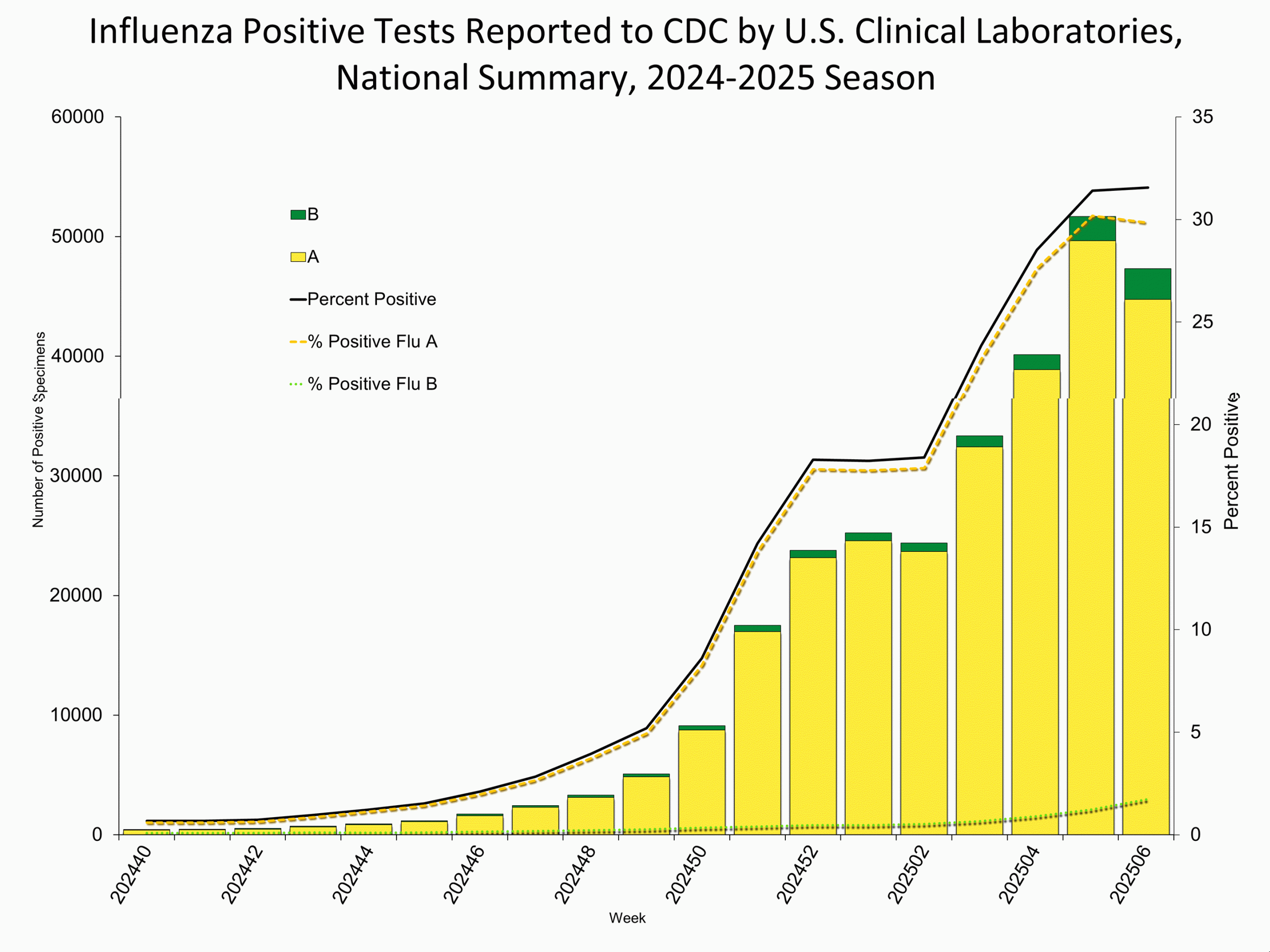 WHONPHL06 Influenza Positive Tests Reported to CDC by Clinical Laboratories, National Summary, 2024-25 Season, week ending Feb. 8, 2025