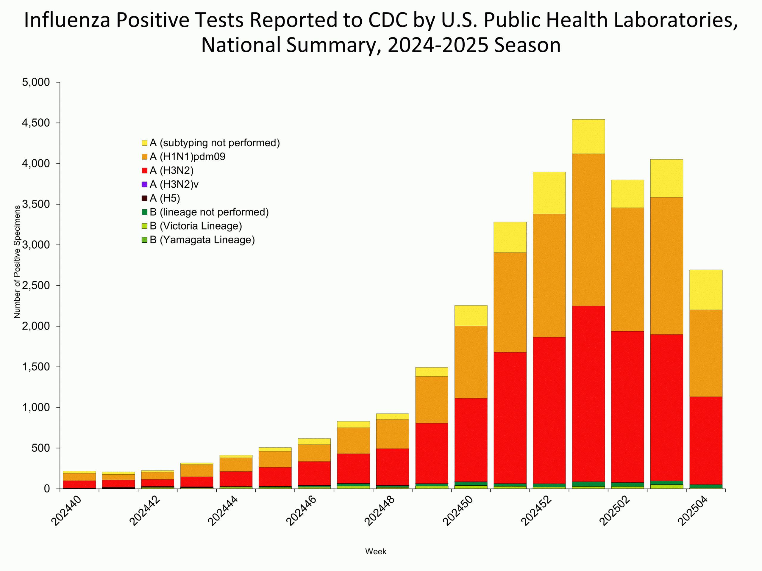 WHOPHL04 This graph reflects the number of specimens tested and the number determined to be positive for influenza viruses at the public health lab (specimens tested is not the same as cases). It does not reflect specimens tested only at CDC and could include more than one specimen tested per person. Specimens tested as part of routine influenza surveillance as well as those tested as part of targeted testing for people exposed to influenza A(H5) are included.