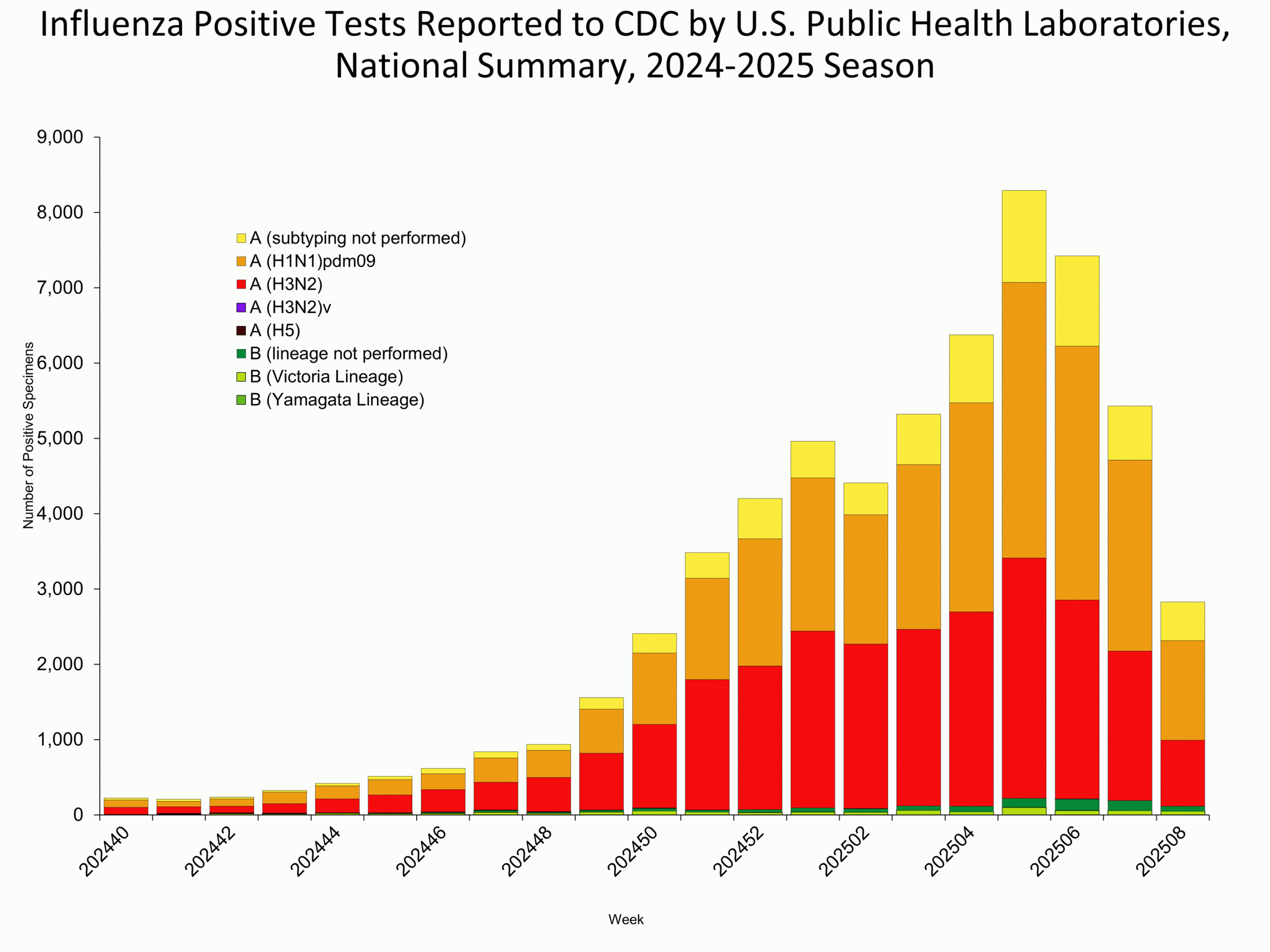 WHOPHL08 This graph reflects the number of specimens tested and the number determined to be positive for influenza viruses at the public health lab (specimens tested is not the same as cases). It does not reflect specimens tested only at CDC and could include more than one specimen tested per person. Specimens tested as part of routine influenza surveillance as well as those tested as part of targeted testing for people exposed to influenza A(H5) are included.