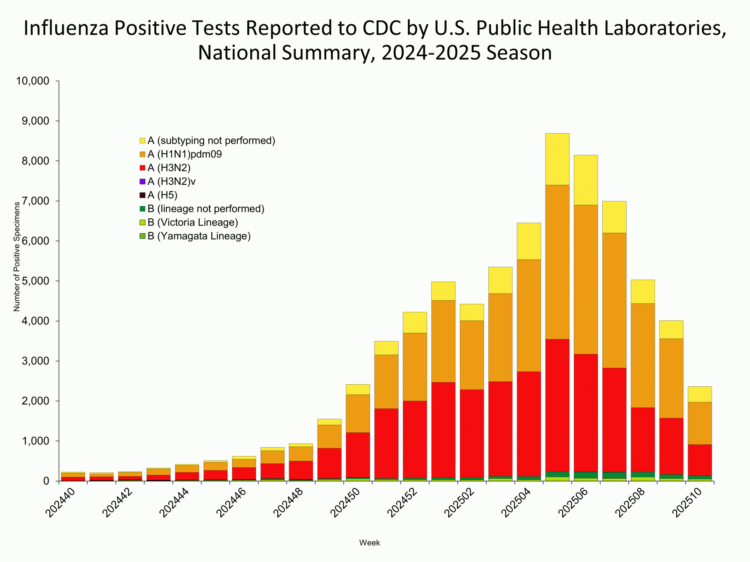 WHOPHL10 This graph reflects the number of specimens tested and the number determined to be positive for influenza viruses at the public health lab (specimens tested is not the same as cases). It does not reflect specimens tested only at CDC and could include more than one specimen tested per person. Specimens tested as part of routine influenza surveillance as well as those tested as part of targeted testing for people exposed to influenza A(H5) are included.