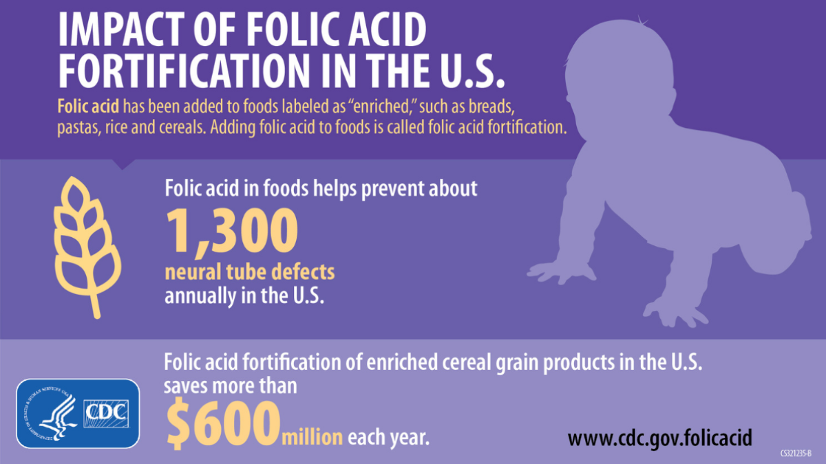 — title missing — Purple infographic with text reading "Impact of folic acid fortification in the U.S." and " Folic acid in foods helps prevent about 1,300 neural tube defects annually in the U.S."