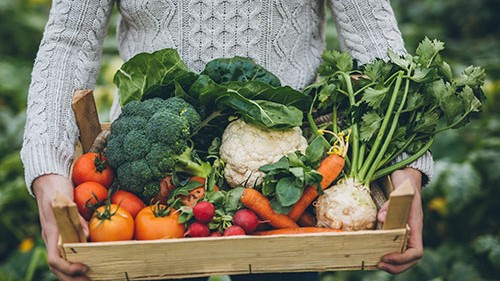 — title missing — Farmer with box of fresh produce.