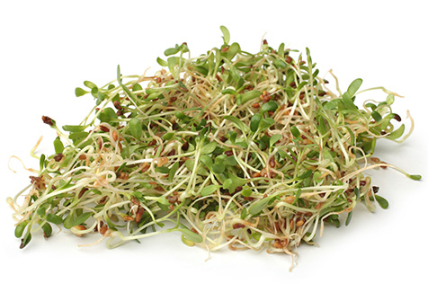 sprouts sprouts