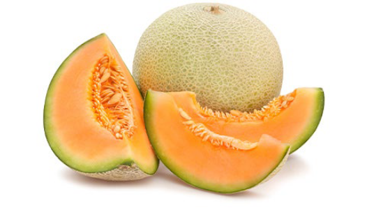Cantaloupe Cantaloupe