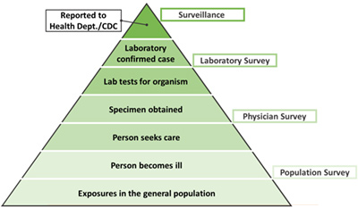 burdenofillness_pyramid2.jpg Burden of illness pyramid outlining steps from when somebody gets sick to when illness is reported. Steps listed below.