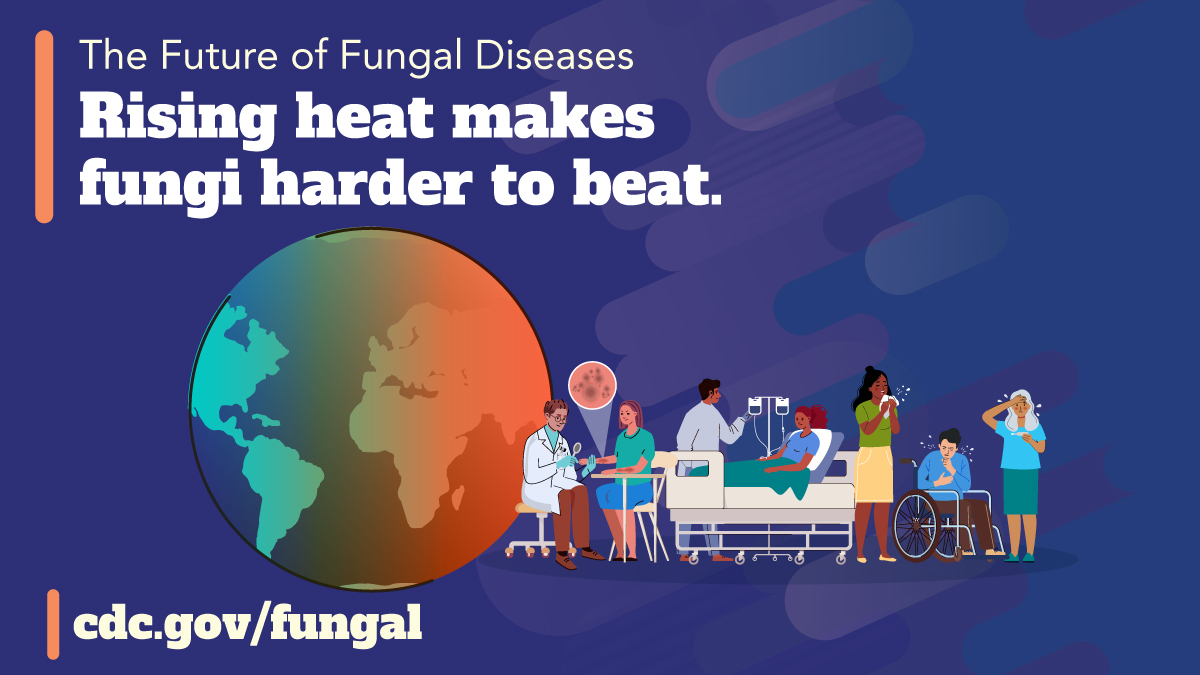 Rising Heat Makes Fungi Harder to Beat (Facebook) The earth in the center, and the right side shows people with skin lesions and illnesses. The text reads “The future of Fungal diseases” and “Rising heat makes fungi harder to beat.”