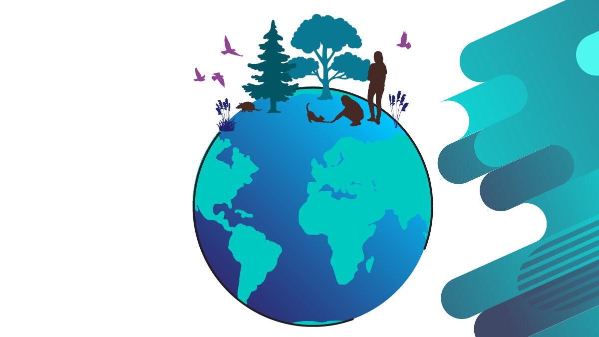 One Health An image of a globe with humans, animals and nature.