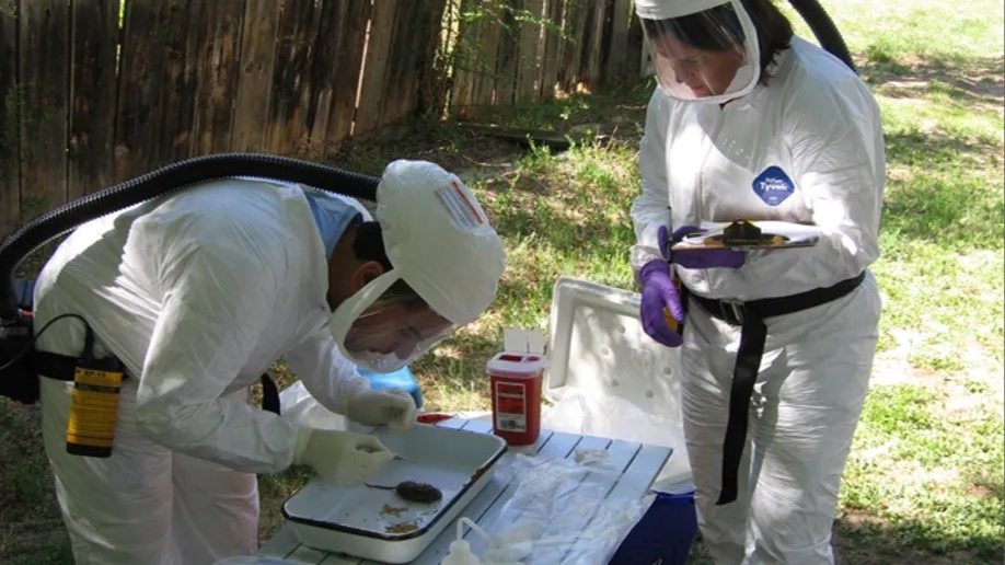 FETP-third Healthcare workers in white hazmat suits