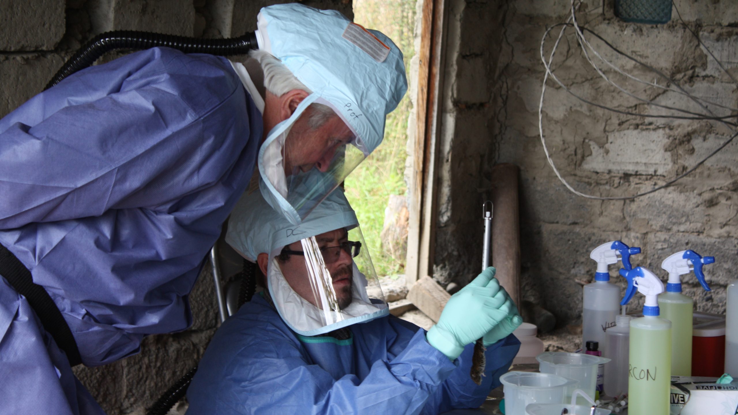 Impact-3 Disease detectives examine a sample wearing PPE.