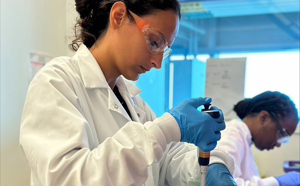 PHEFA Gloria Raise Malaria Assay Public health entomology intern works in the lab.
