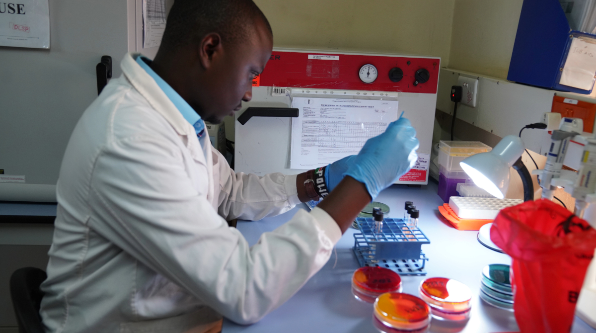 Kenya_lab_worker Lab worker wearing a lab coat and gloves, handling petri dishes and test tubes.