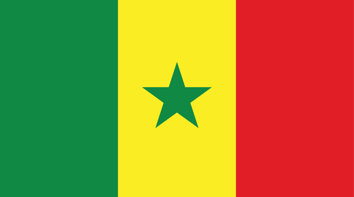 Vertical bands of green, yellow and red. Green star appears in the middle of the yellow vertical strip