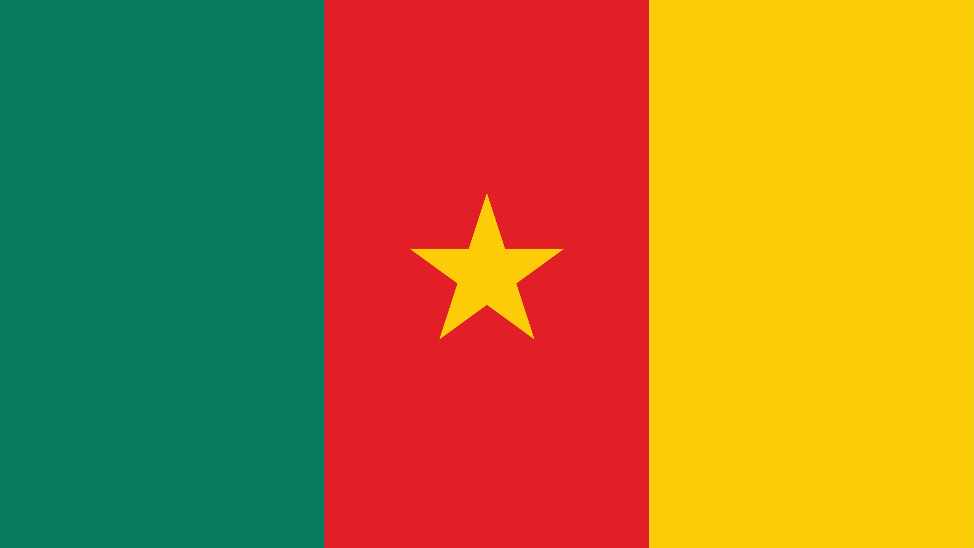 Flag of Cameroon. Three equal vertical bands of green (hoist side), red, and yellow, with a yellow five-pointed star centered in the red band.