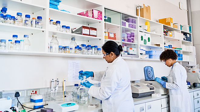 2024-06_SS_StCLL_GettyImages Two people in white coats and blue latex gloves work at a laboratory bench.