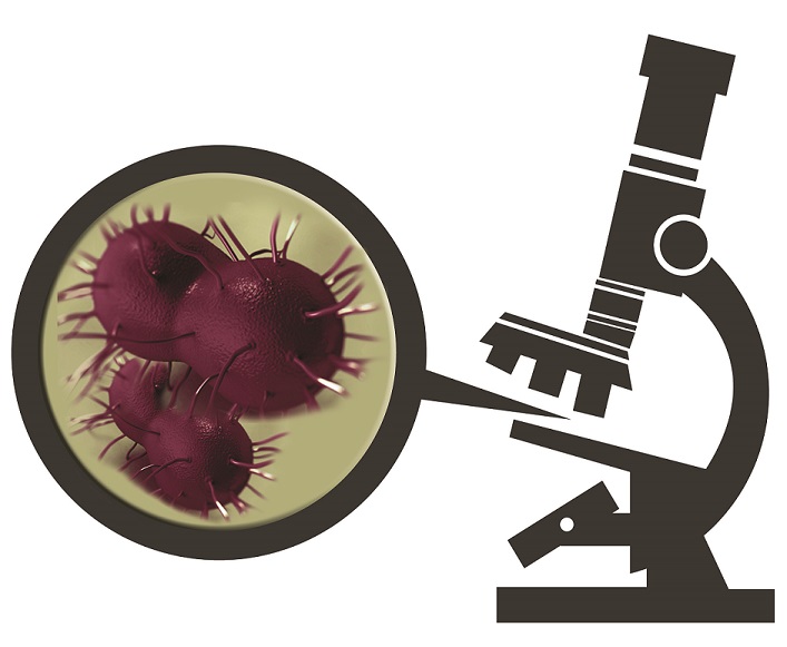 gonorrheaundermicroscopeCROPPED.jpg An illustration of a microscope with the bacterium that causes gonorrhea shown large enough for the human eye to see.