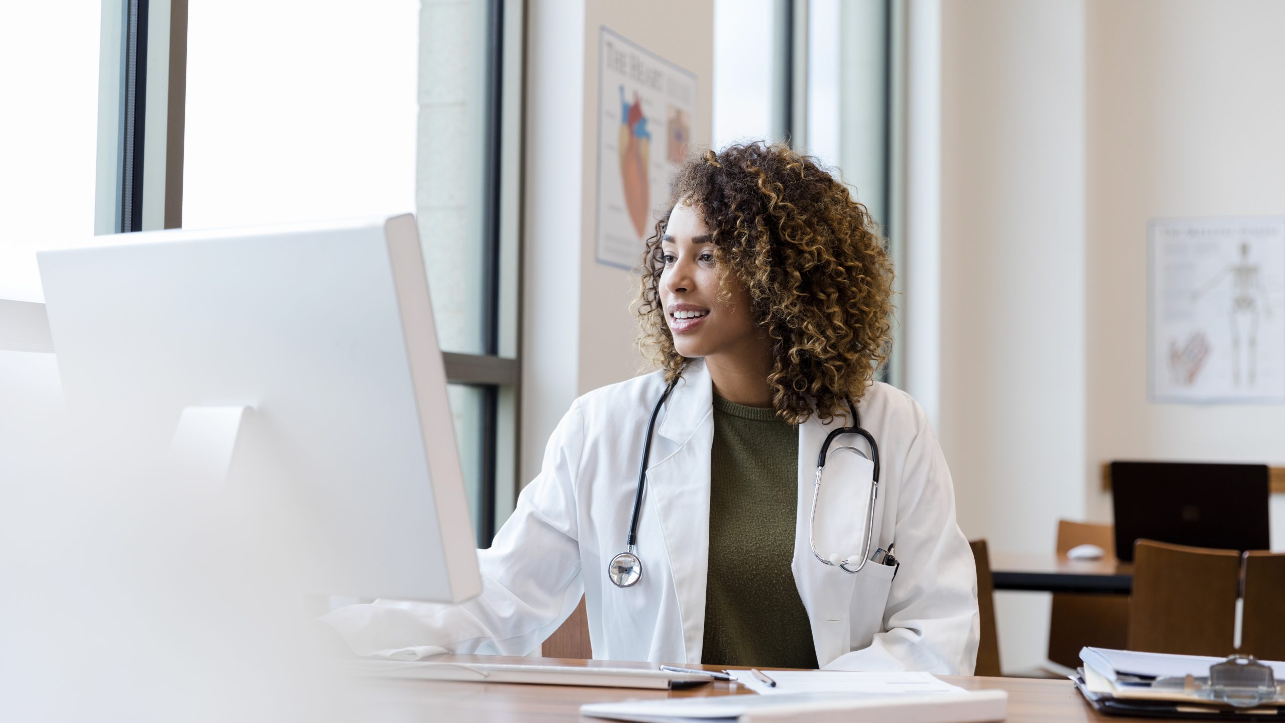 Health care provider at computer Health care provider using a computer with a large monitor.