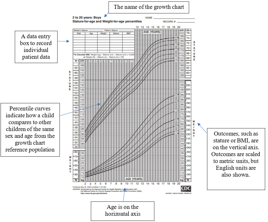 Growth Chart Description Growth chart sample shows features: growth chart name, box for patient data, percentile curves, outcomes like BMI, and age.