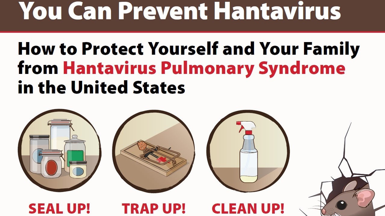 image of hantavirus brochure