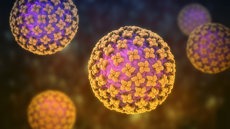 Hantavirus under a microscope several colorful balls on a black background