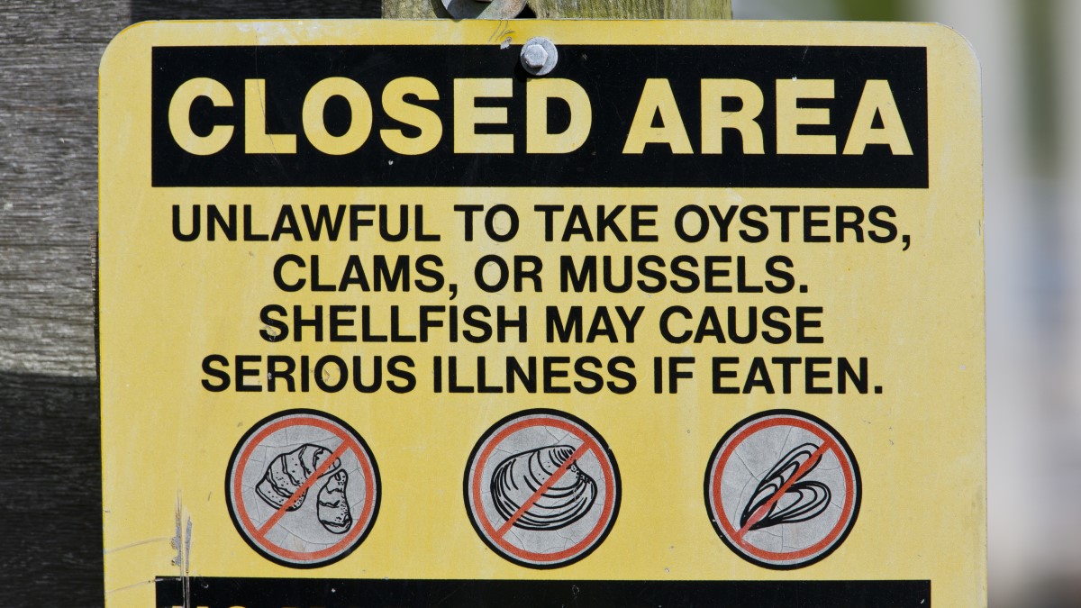 Shellfish advisory sign Metal sign posted to a wooden post that says, "Closed area. Unlawful to take oysters, clams, or mussels. Shellfish may cause serious illness if eaten." The sign shows illustrations of an oyster, clam, and mussel with a red slash through each.
