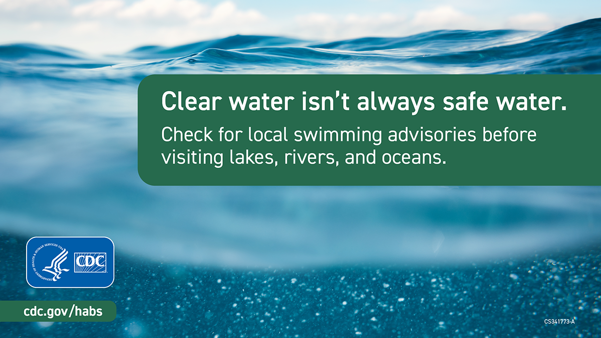 Clear water isn't always safe water: 1200x675 Stay safe from harmful algal blooms by checking local swimming advisories