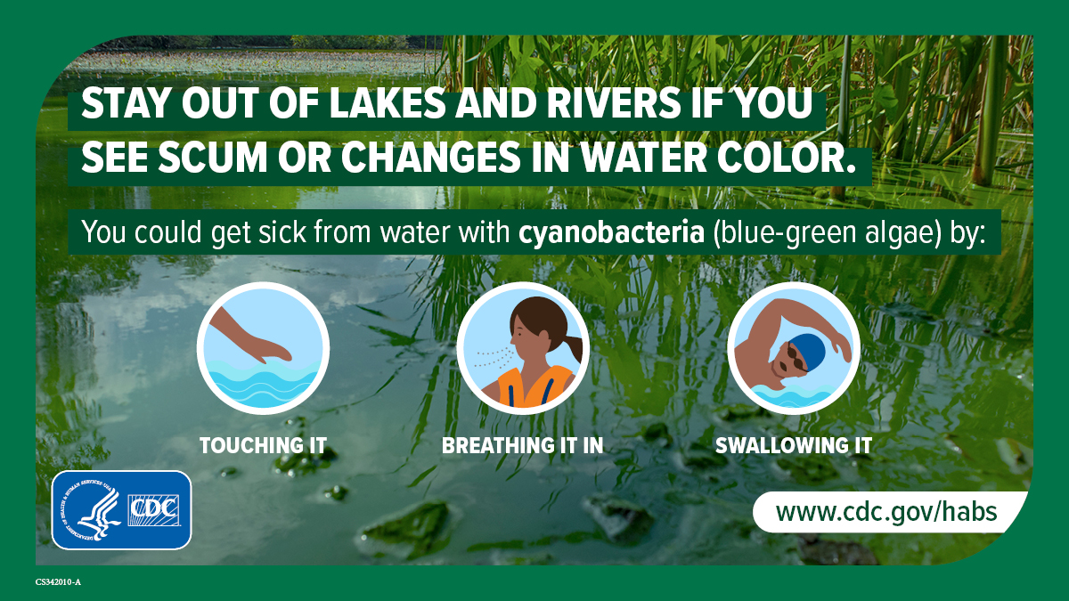 Stay out of lakes and rivers if you see scum or changes in water color: 1200x675 Avoid water that is scummy or discolored