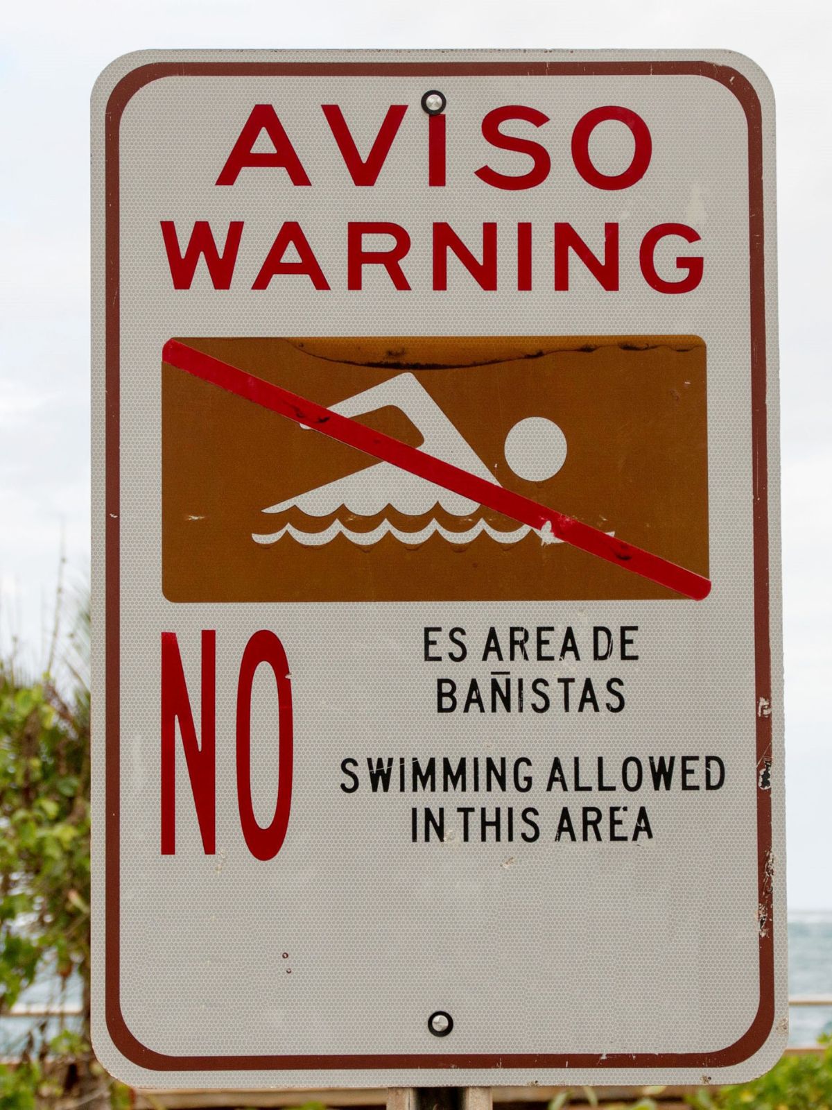 No swimming sign in Spanish and English Letrero de advertencia en inglés y español, cerca de un cuerpo de agua, que dice: "Aviso. Warning. No es área de bañistas. No swimming allowed in this area."