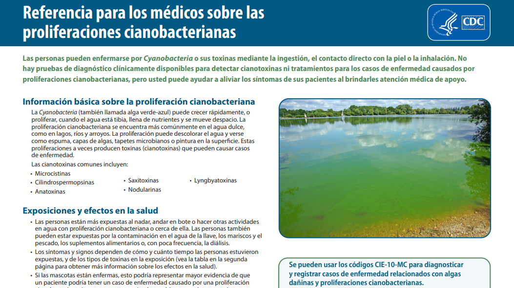 thumbnail spanish physicians reference