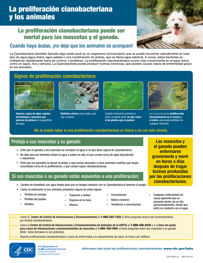 thumbnail-spanish-poster-animal-safety