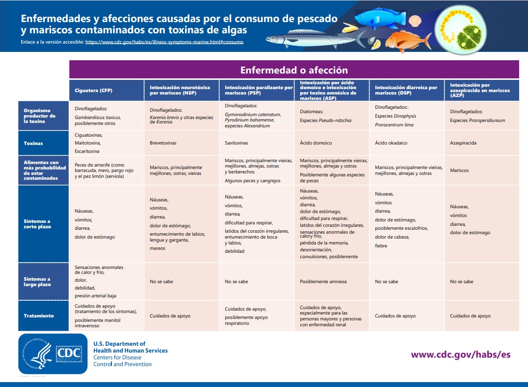 Small image of Diseases and conditions caused by eating seafood contaminated with algal toxins (Spanish)