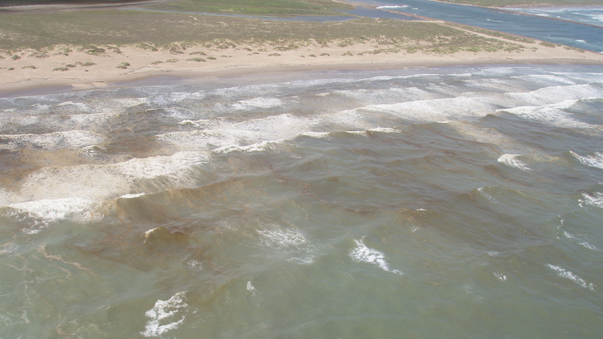 — title missing — Ocean water darkened by red tide algae along a sandy shore