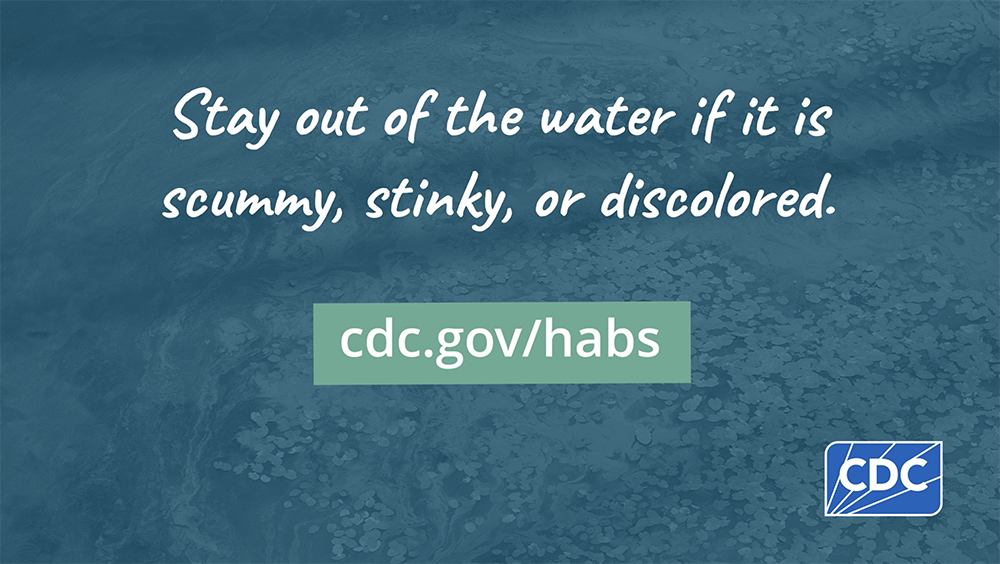 habs-and-health Stay out of the water if it is scummy, stinky, or discolored.