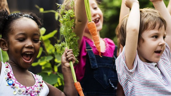 NCCDHPsApproachToHE Group of children cheering with fresh carrots in their hands