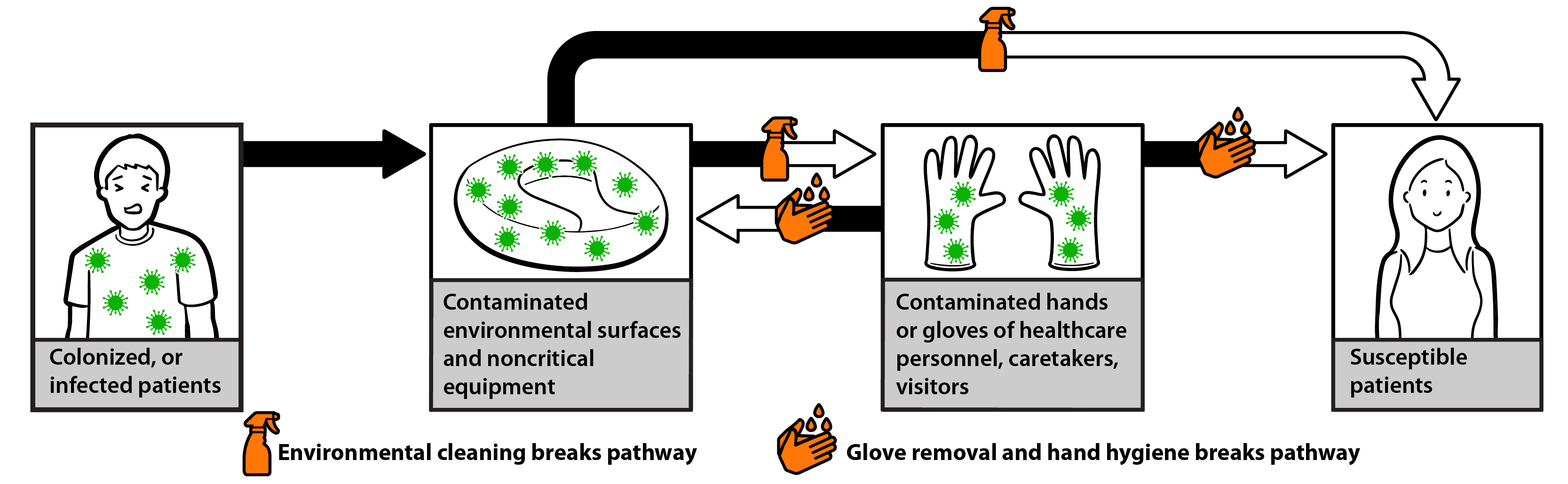 Germs can spread by direct or indirect contact from surfaces or healthcare worker's hands.