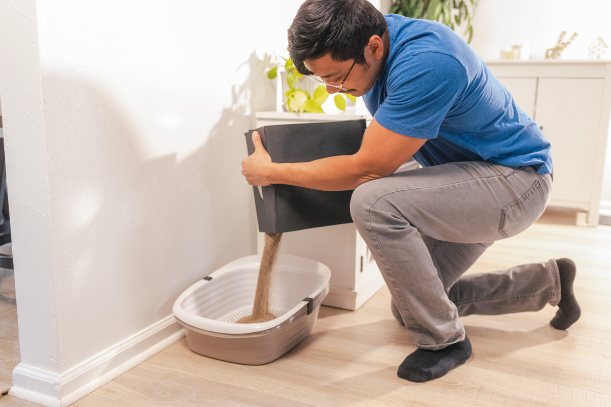 Cat litter Man changing cat litter.