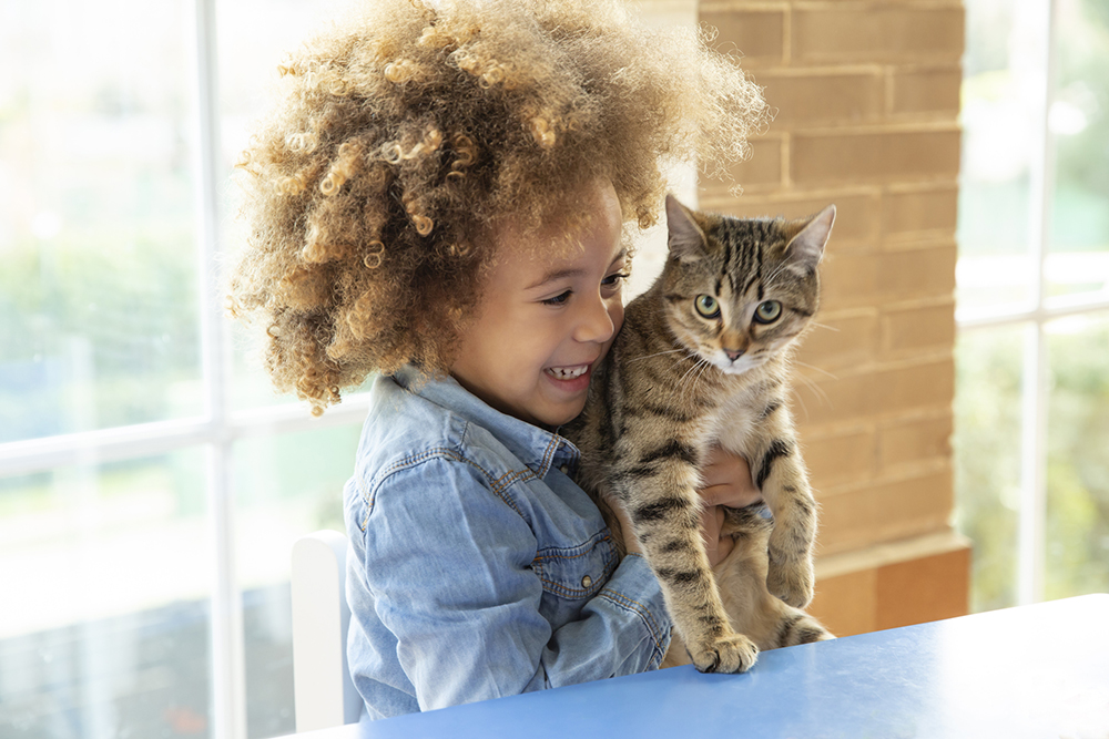 Ethnic kid girl playing with cat Young girl playing with cat