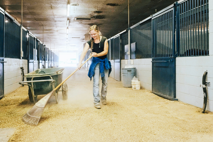 Stable Cleaning Woman cleaning stable.