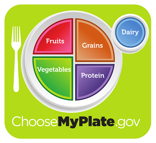 ChooseMyPlate.gov image 1 A healthy plate example divided by color sections for fruits, grains, vegetables, and protein, with a circle for dairy.