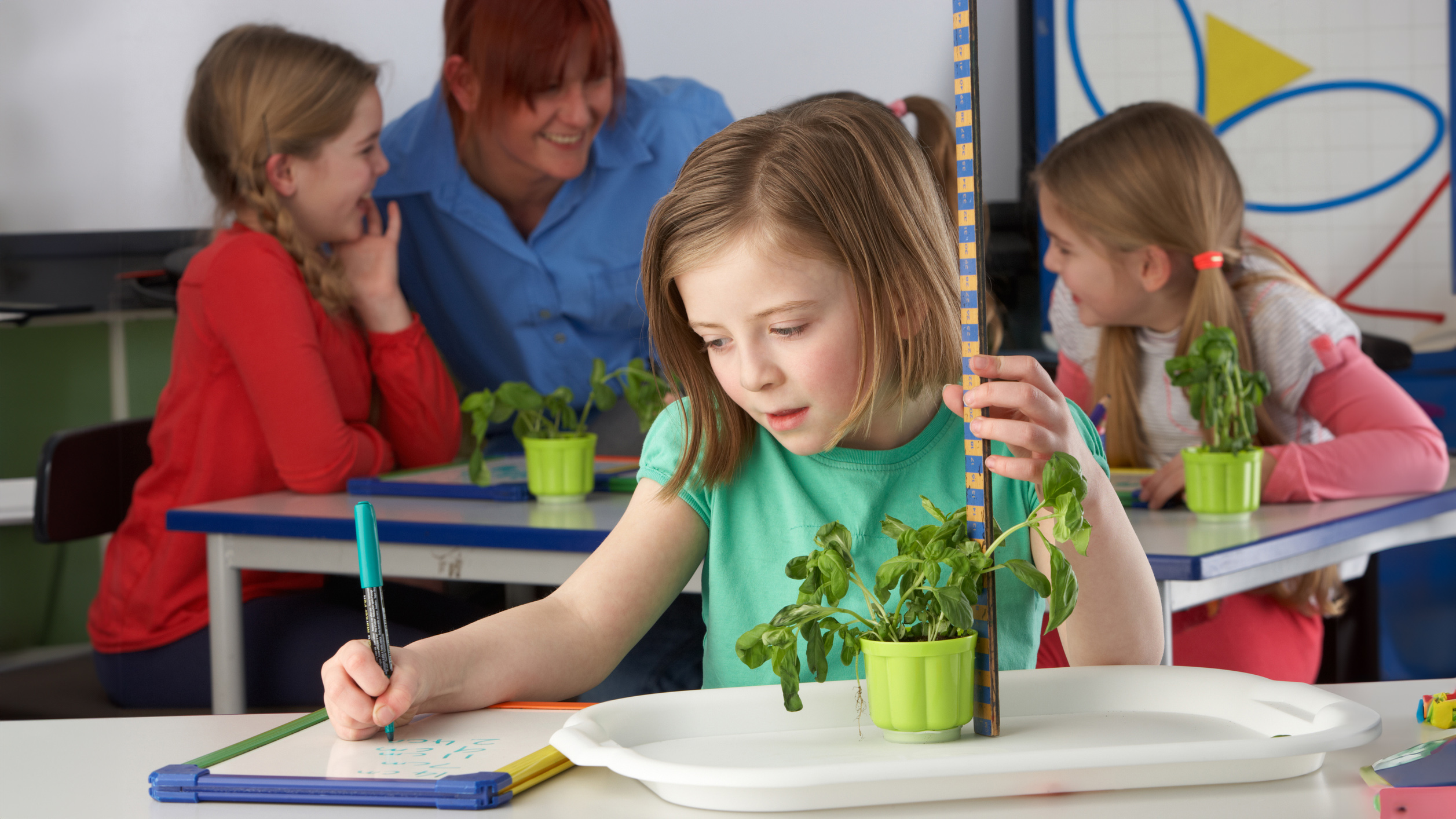 Girl learning about plants in school class Young student measures a potted plant on her desk, writing on a pad. Students and a teacher are in the background.