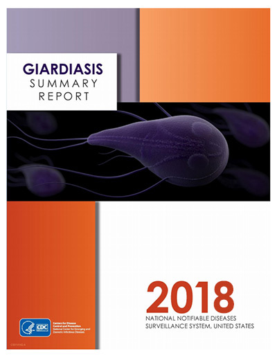 — title missing — Summary report cover for 2018 in orange and purple block with CDC logo