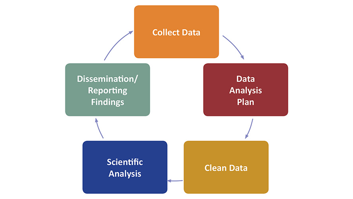 collect data graphic Diagram that shows the circular flow of 5 elements that are in a continuous loop. Those elements are Collect Data, Data Analysis Plan, Clean Data, Scientific Analysis, Dissemination/Reporting Findings.