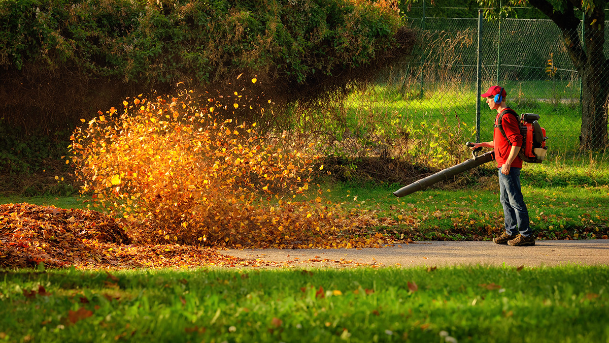 man using leaf blower man using leaf blower
