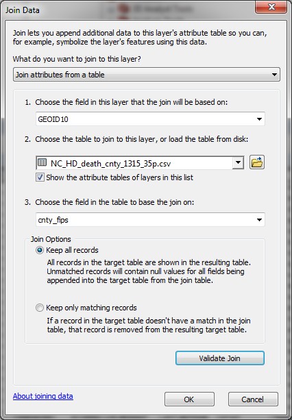 AggData13 The Join Data window with Keep all records selected.