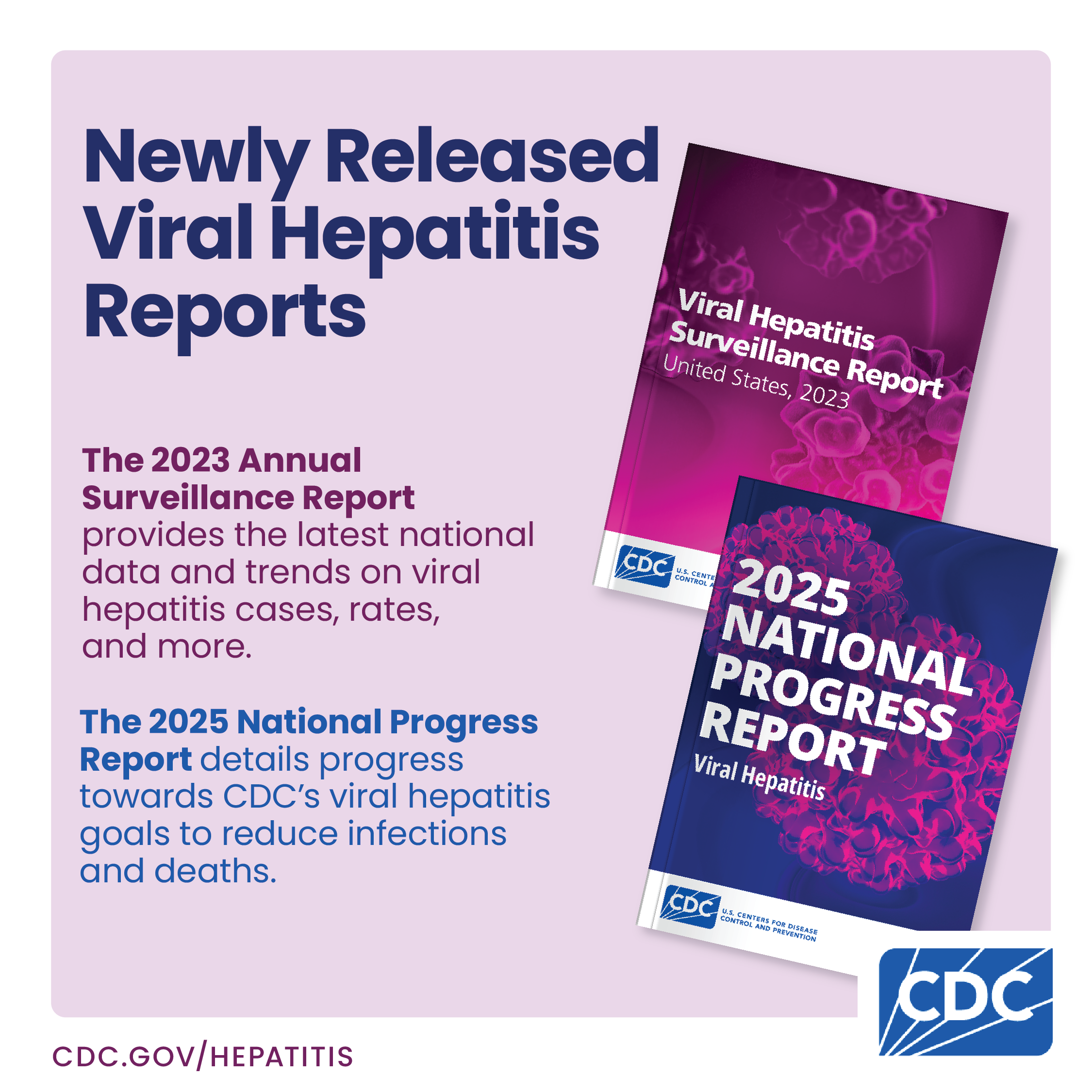 2023 ASR provides latest data and trends on viral hepatitis. 2025 NPR details progress towards viral hepatitis goals.