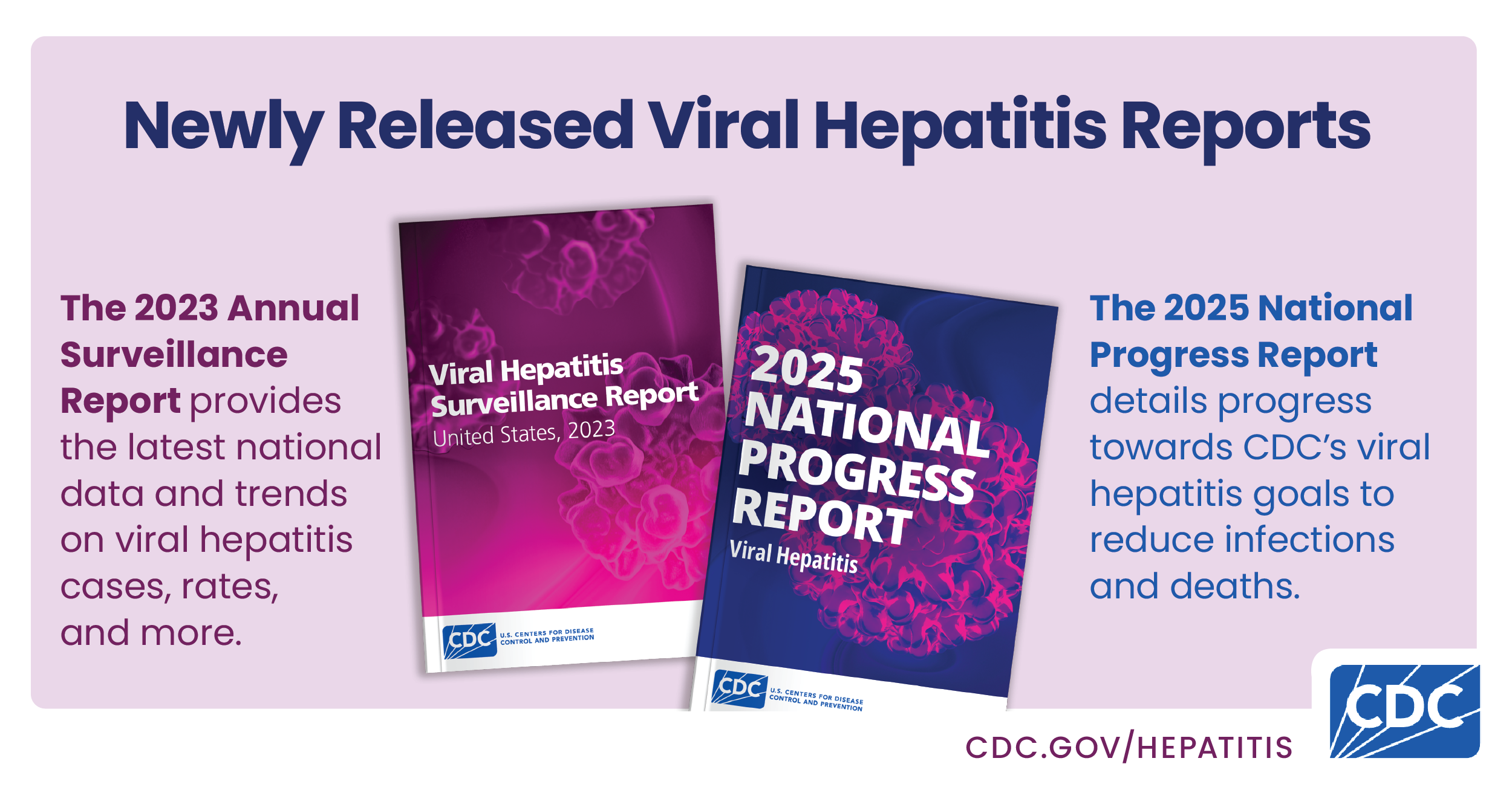 2023 ASR provides latest data and trends on viral hepatitis. 2025 NPR details progress towards viral hepatitis goals.