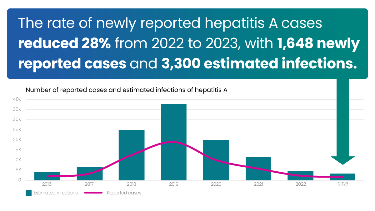 Rate of newly reported hep A cases reduced 28%, with 1,648 newly reported cases and 3,300 estimated infections.